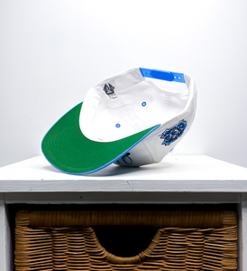 NORTH CAROLINA TAR HEELS VINTAGE HAT