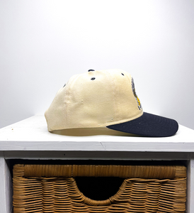 PITTSBURGH STEELERS VINTAGE SNAPBACK